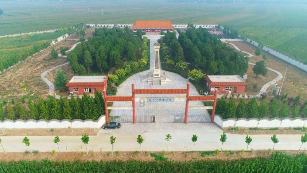 大象的耳朵告诉我们什么道理-红迪网平台